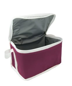 Bolsas-Termicas-Promocionais-Para-Brinde-bt24